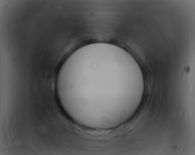 X0000102480032200808081043