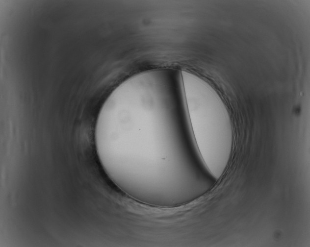 X0000102480035200808081043