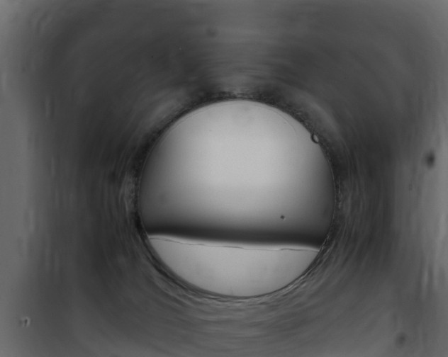 X0000102480036200808081043