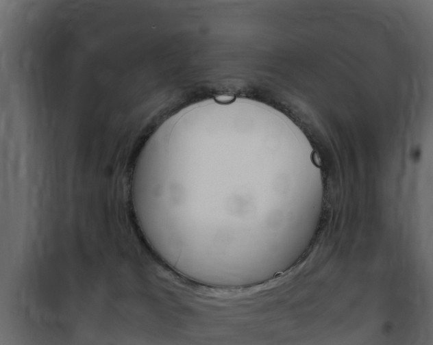 X0000102480037200808081043