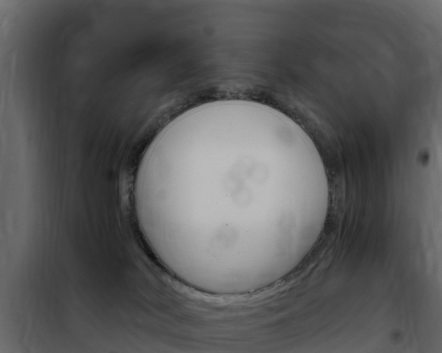 X0000102480038200808081043