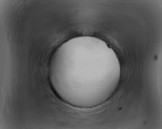 X0000102480039200808081043