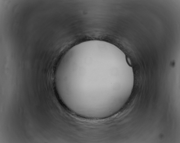 X0000102480040200808081043