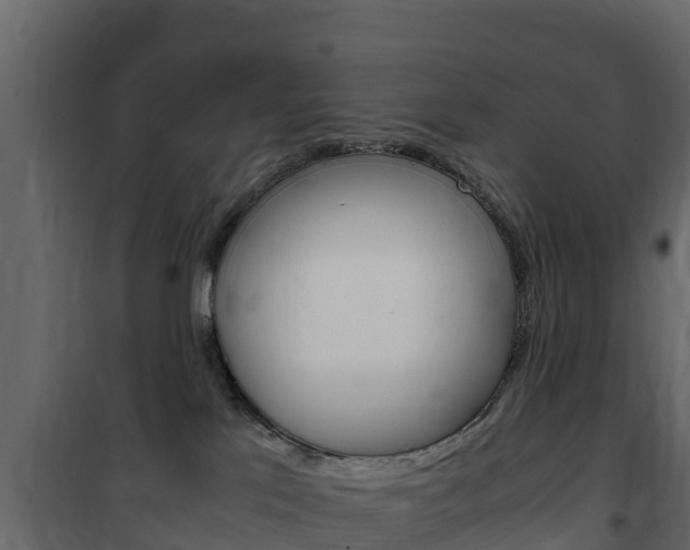 X0000102480041200808081043