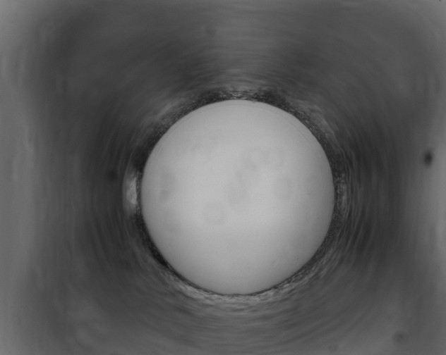 X0000102480042200808081043