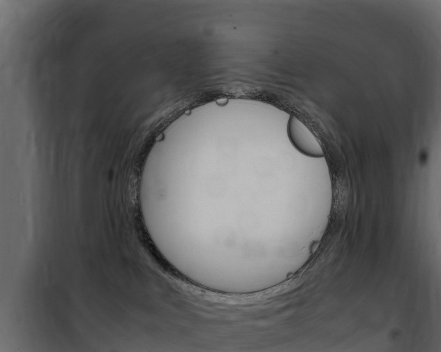 X0000102480043200808081043