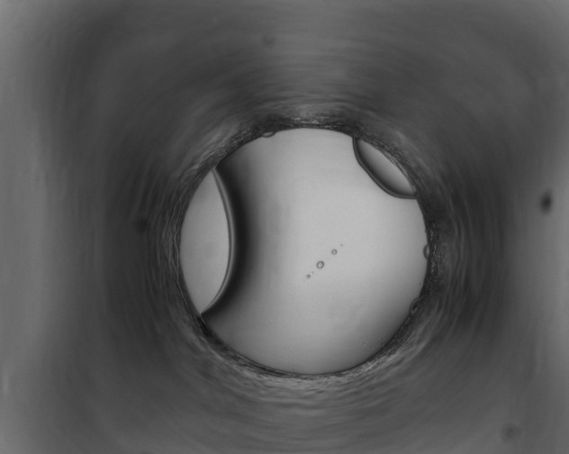 X0000102480044200808081043