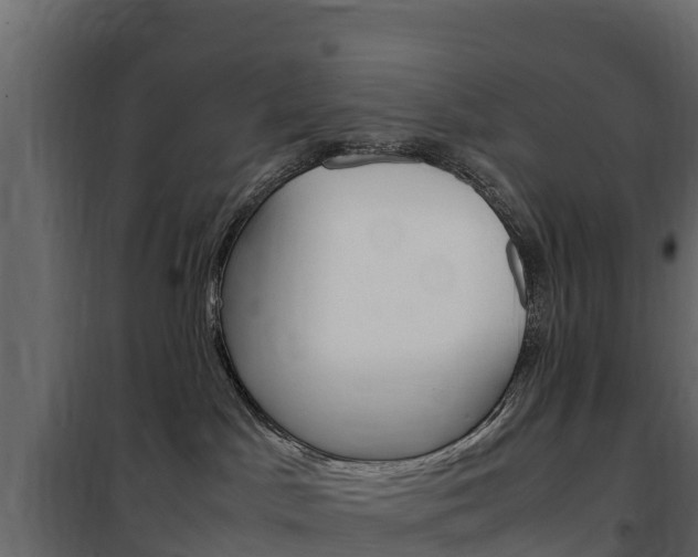 X0000102480045200808081043