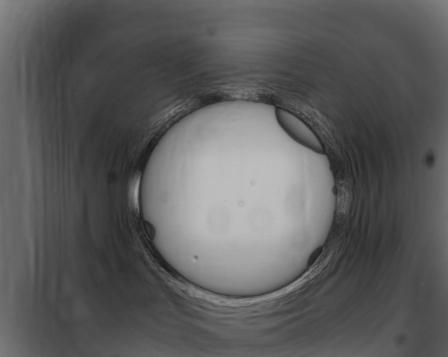 X0000102480047200808081043