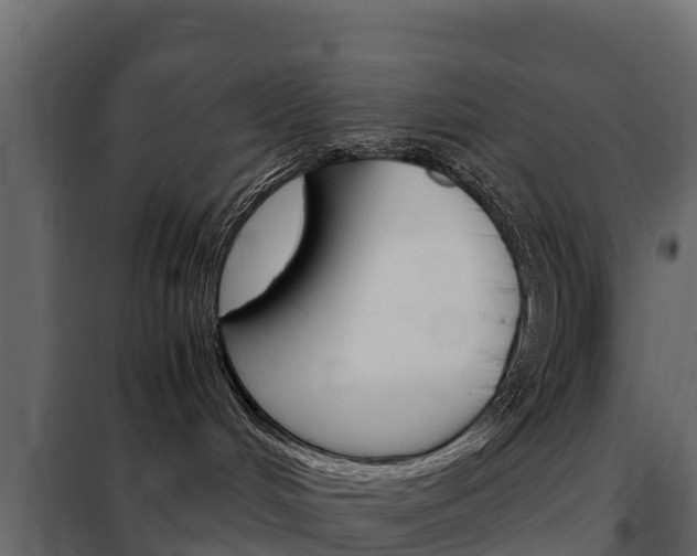 X0000102480048200808081043