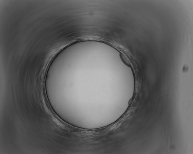 X0000102480049200808081042