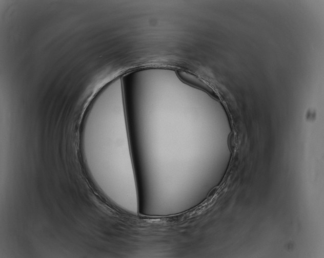 X0000102480050200808081042