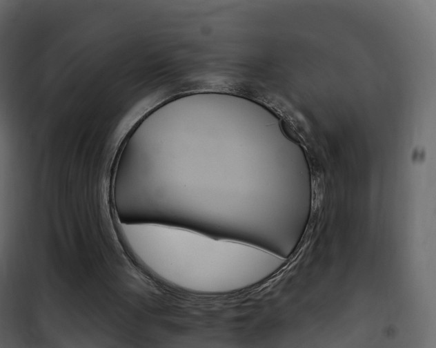 X0000102480051200808081042