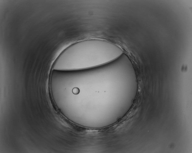 X0000102480052200808081042