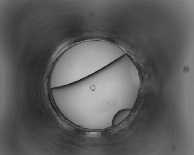 X0000102480053200808081042