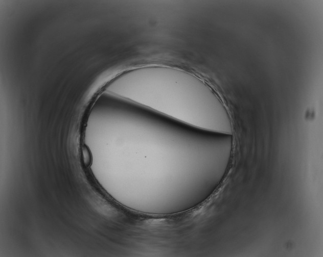 X0000102480054200808081042