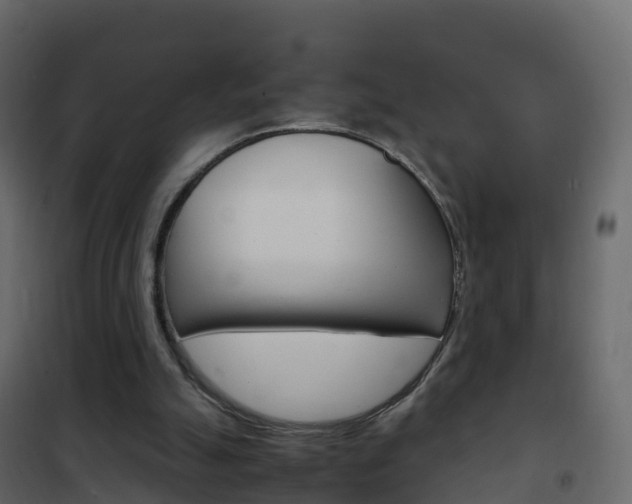 X0000102480055200808081042