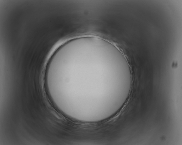 X0000102480056200808081042