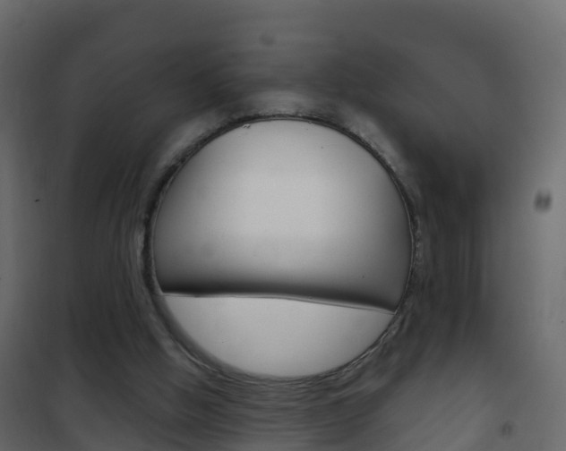 X0000102480058200808081042