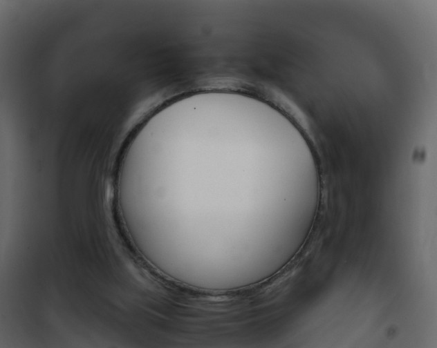 X0000102480059200808081042