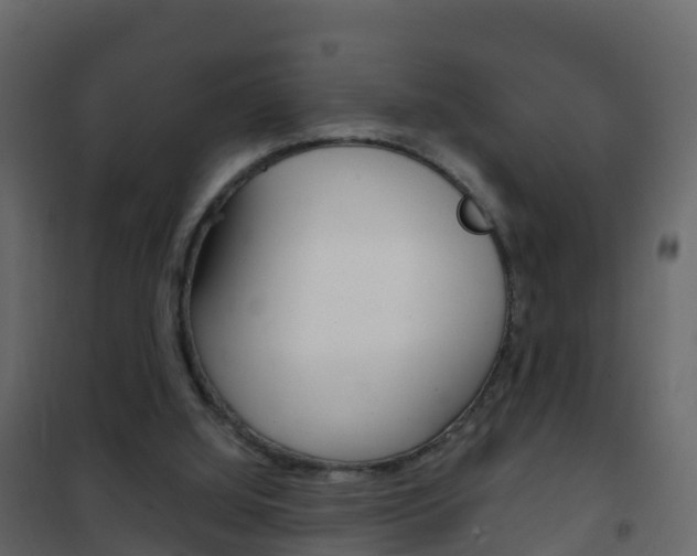 X0000102480060200808081042