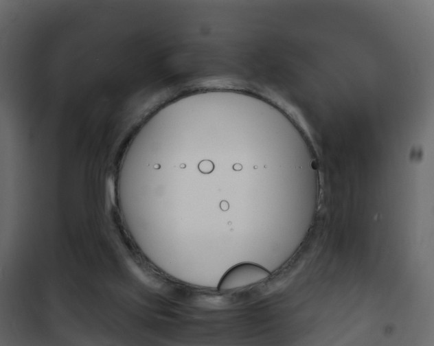 X0000102480061200808081042