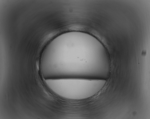 X0000102480062200808081042