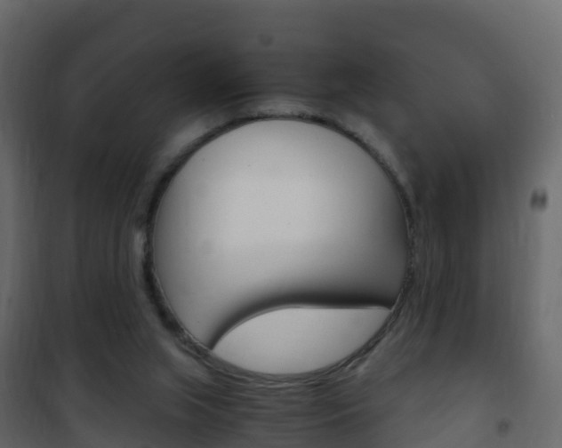 X0000102480063200808081042