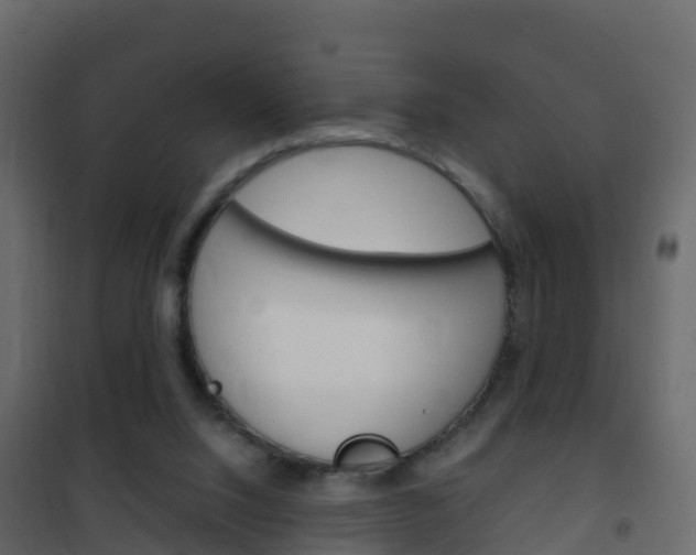 X0000102480064200808081042
