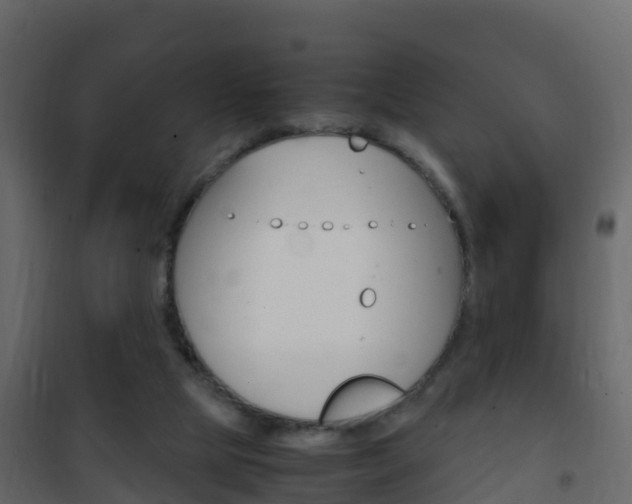 X0000102480065200808081042