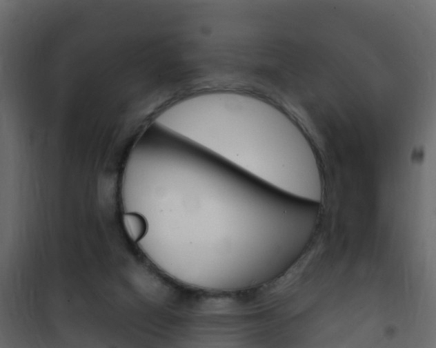 X0000102480066200808081042