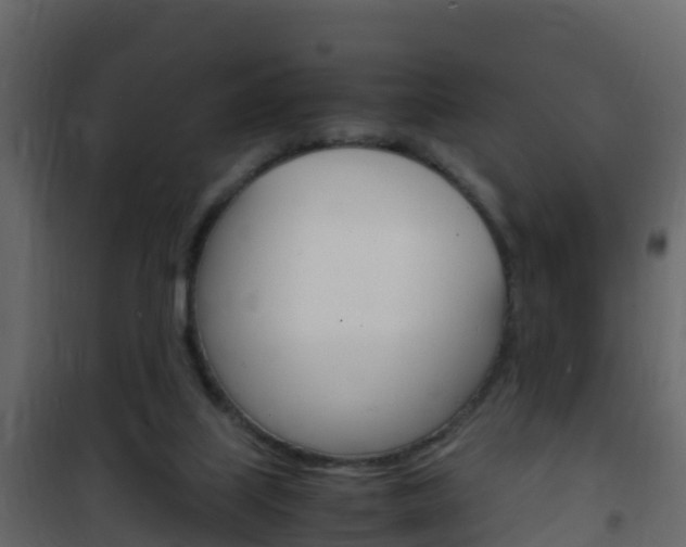 X0000102480067200808081042