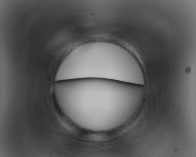 X0000102480069200808081042