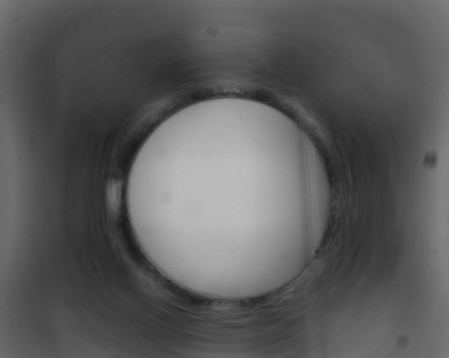 X0000102480070200808081042