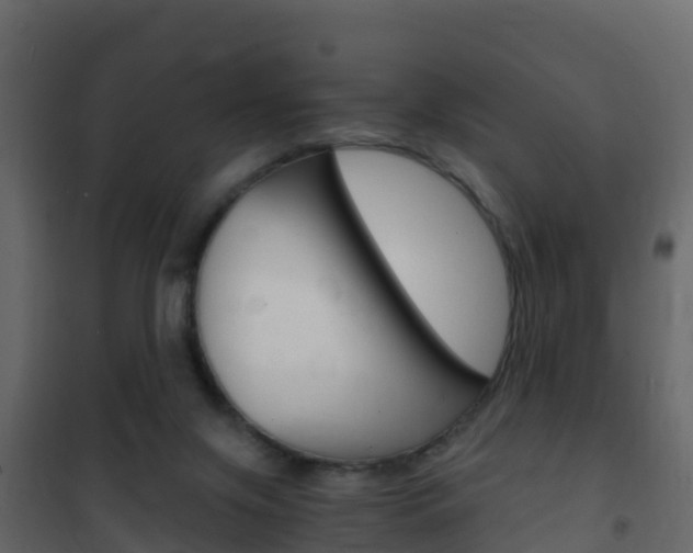 X0000102480071200808081042
