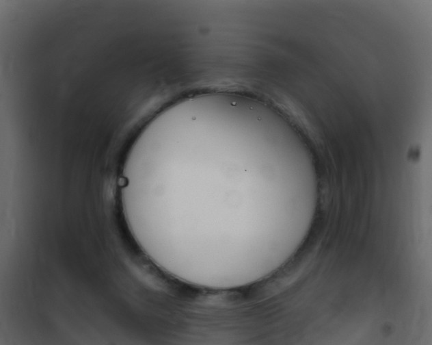 X0000102480072200808081042