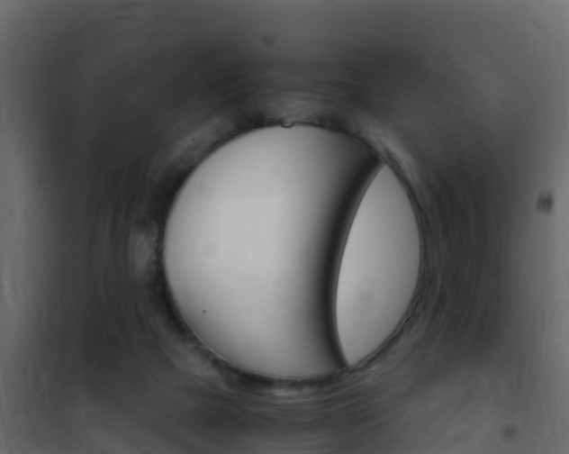 X0000102480073200808081042