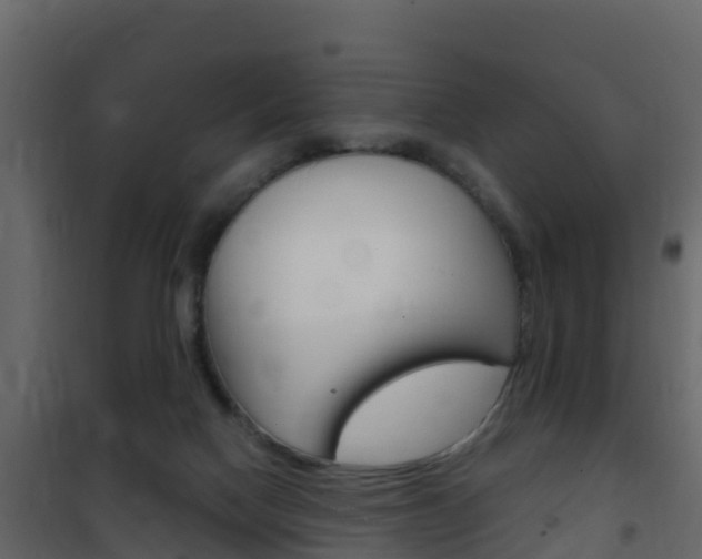 X0000102480074200808081042