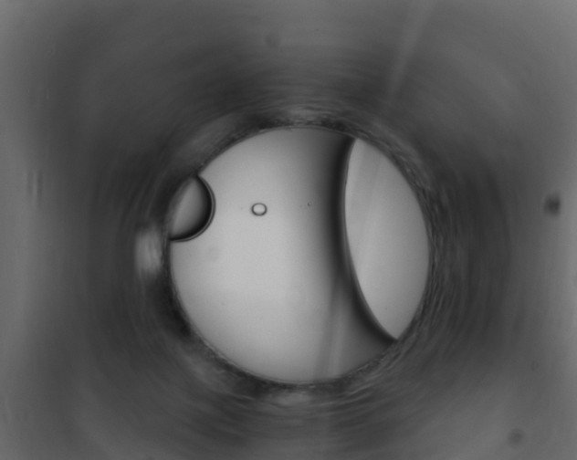X0000102480075200808081042