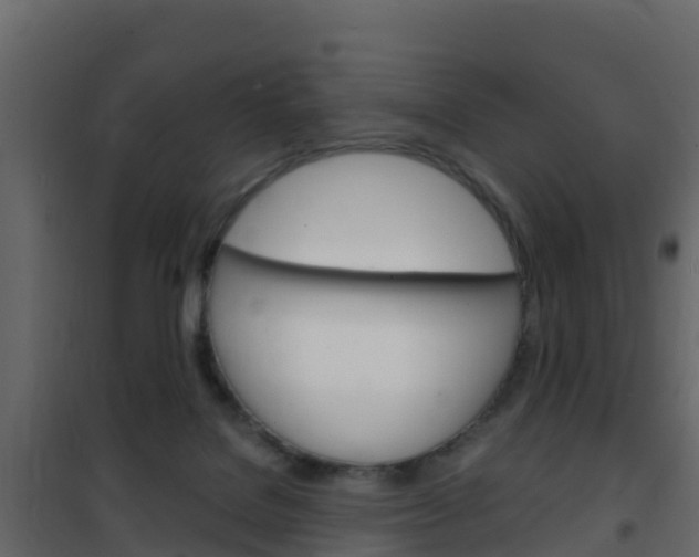 X0000102480076200808081042