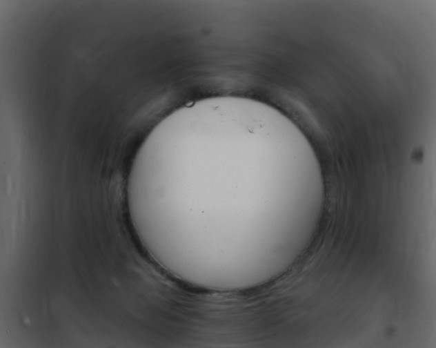 X0000102480077200808081042