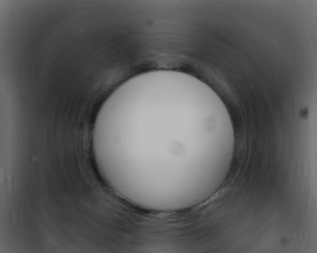 X0000102480078200808081042