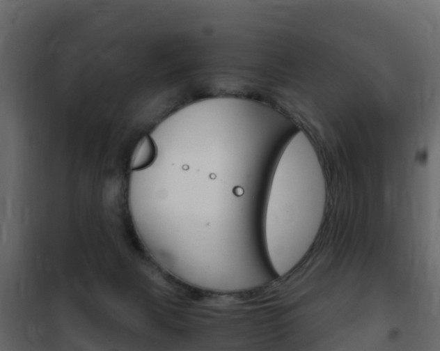 X0000102480079200808081042
