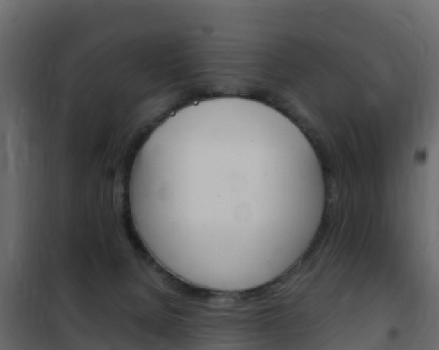 X0000102480080200808081042
