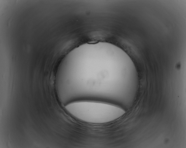 X0000102480081200808081042