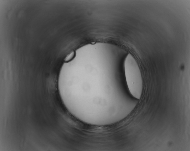 X0000102480083200808081042