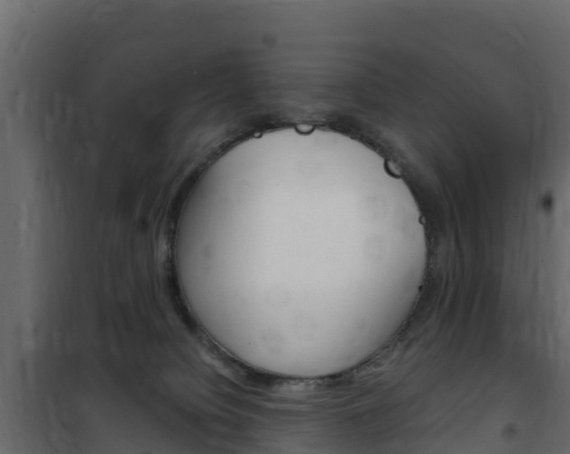 X0000102480084200808081042