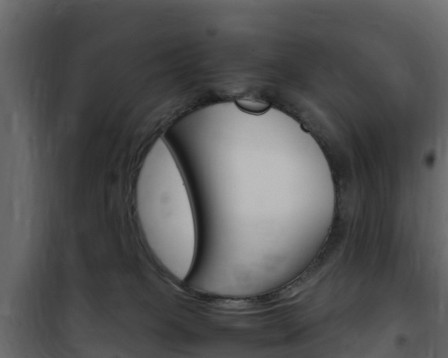 X0000102480085200808081042
