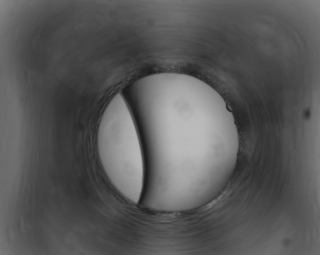 X0000102480086200808081042