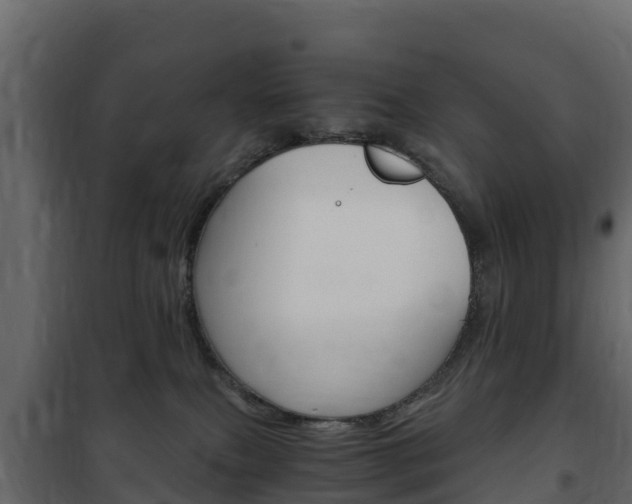 X0000102480087200808081042
